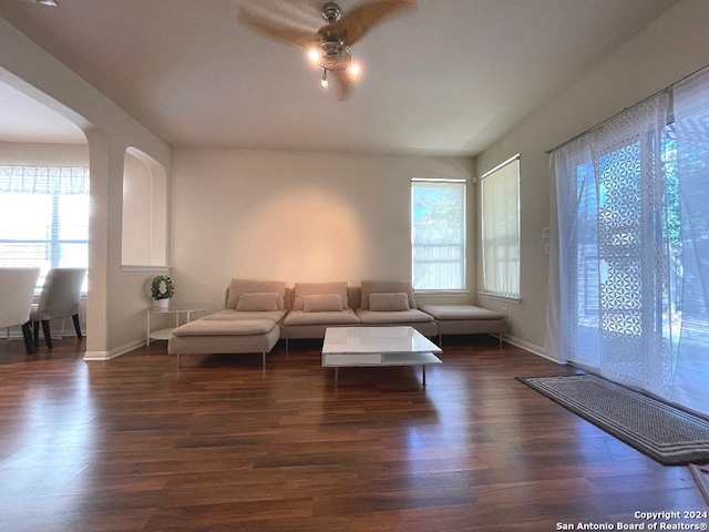 living room featuring ceiling fan and dark hardwood / wood-style floors