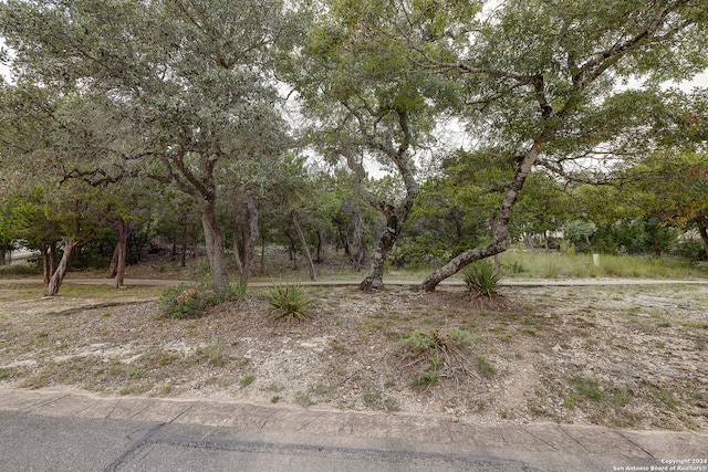 Listing photo 2 for 11411 Anaqua Spgs, Boerne TX 78006