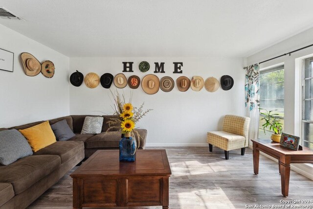 living room featuring hardwood / wood-style flooring