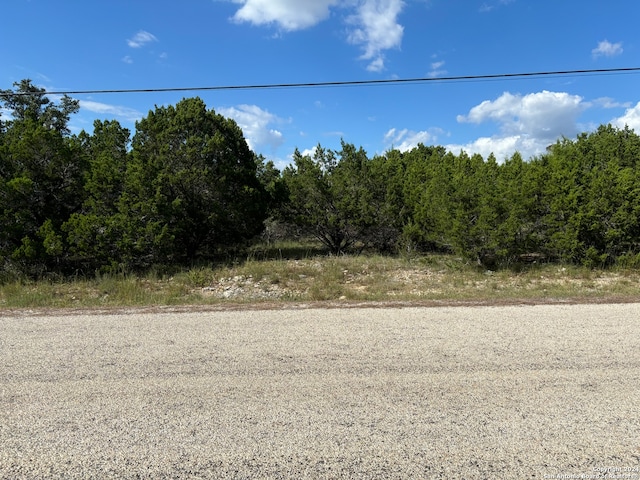 336 Lily St, Spring Branch TX, 78070 land for sale