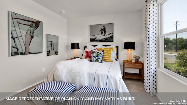 bedroom featuring carpet flooring