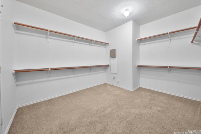 walk in closet featuring light colored carpet