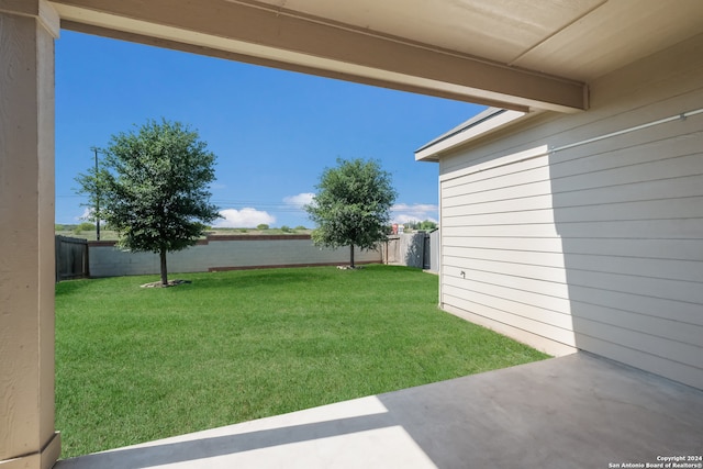 view of yard featuring a patio area