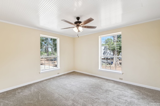 empty room featuring crown molding, carpet, ceiling fan, and plenty of natural light