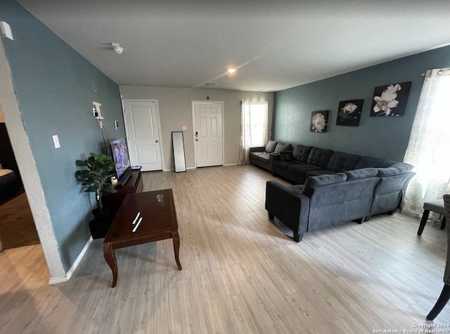 living room featuring hardwood / wood-style floors