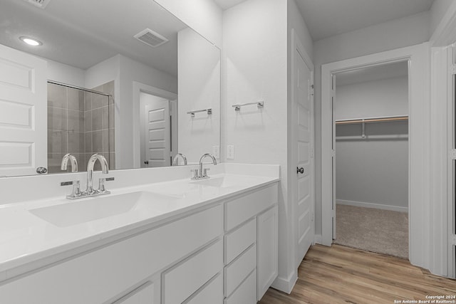 bathroom with wood-type flooring and vanity