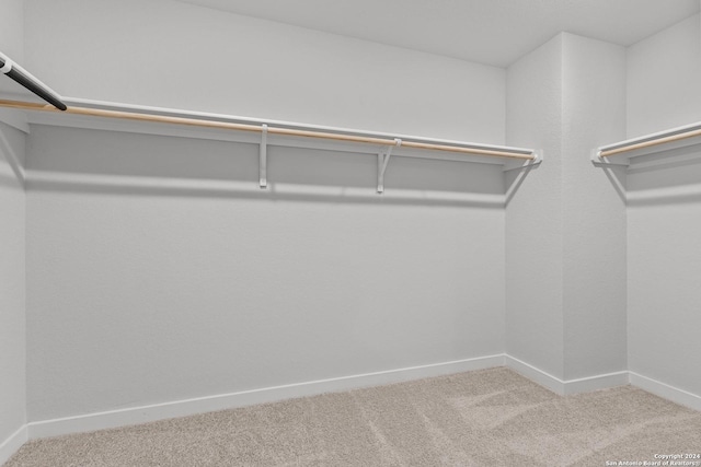 walk in closet with carpet flooring