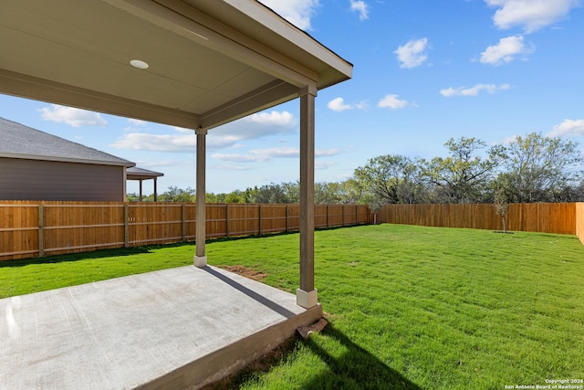 view of yard featuring a patio area