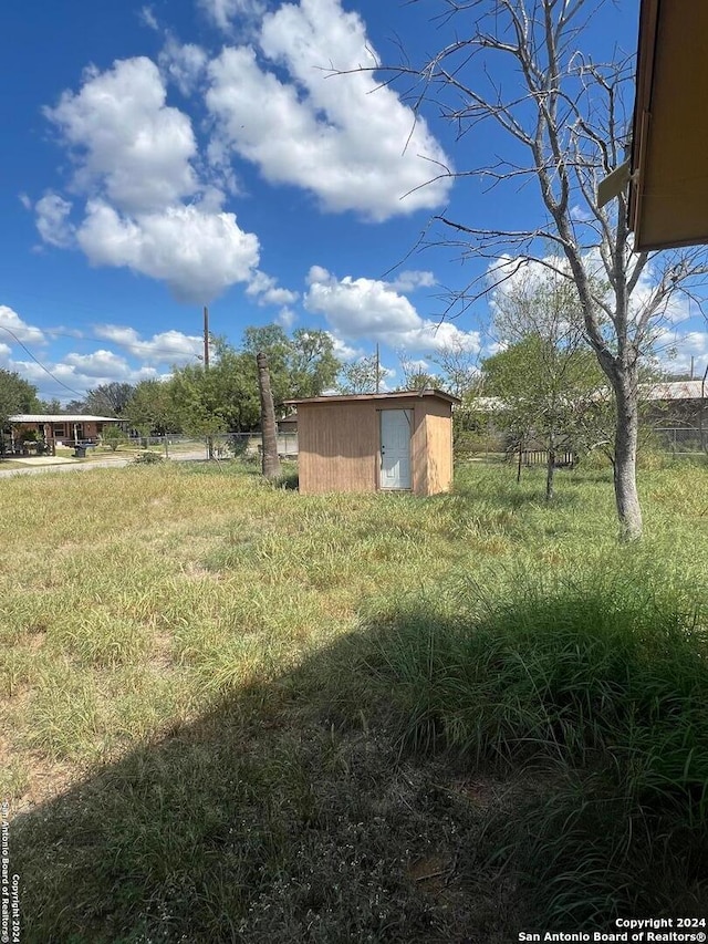 view of yard with a storage shed