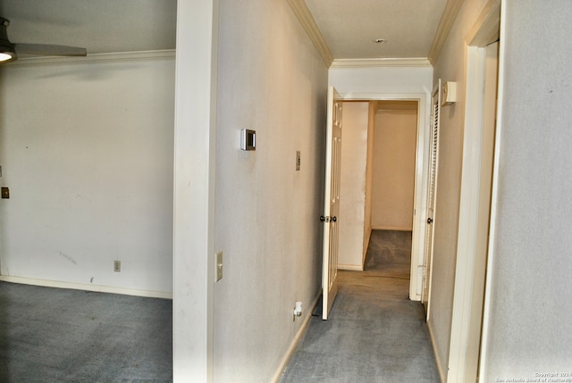 hallway featuring carpet and ornamental molding