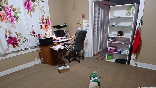 office featuring carpet