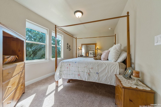 bedroom featuring carpet flooring