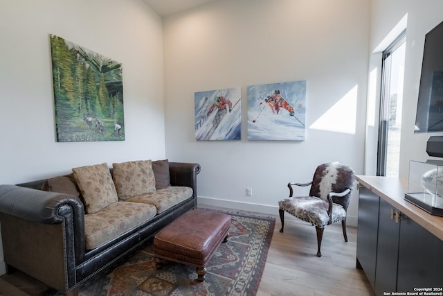 living room with light hardwood / wood-style flooring