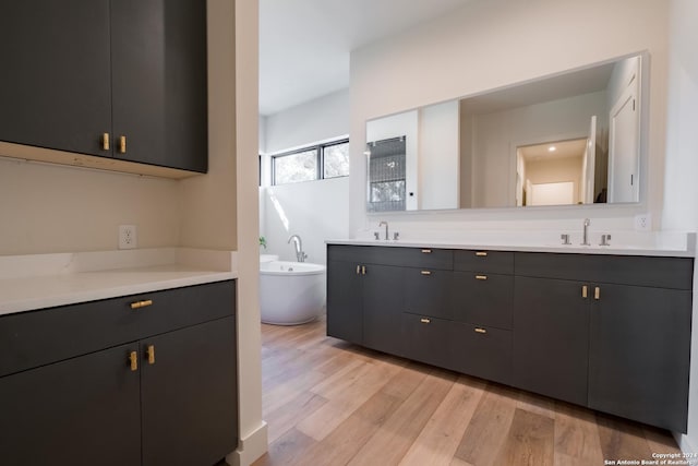 bathroom featuring a bathtub, vanity, and wood-type flooring