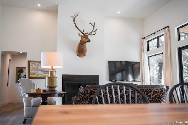 living room with hardwood / wood-style floors