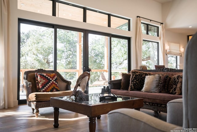 living room featuring hardwood / wood-style flooring