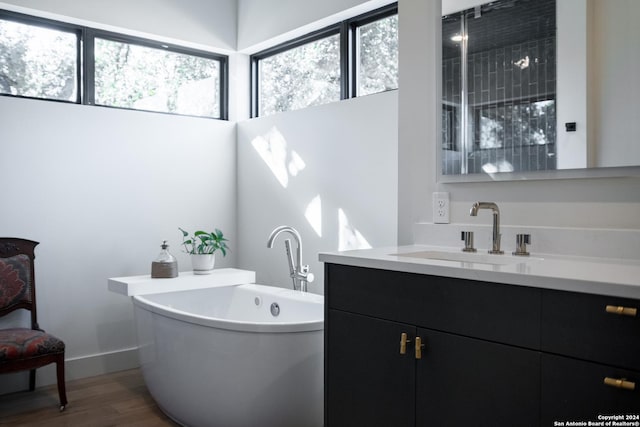 bathroom with a tub, vanity, and hardwood / wood-style flooring