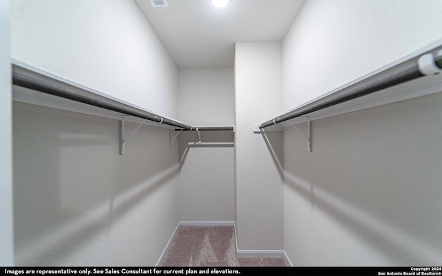 spacious closet with carpet