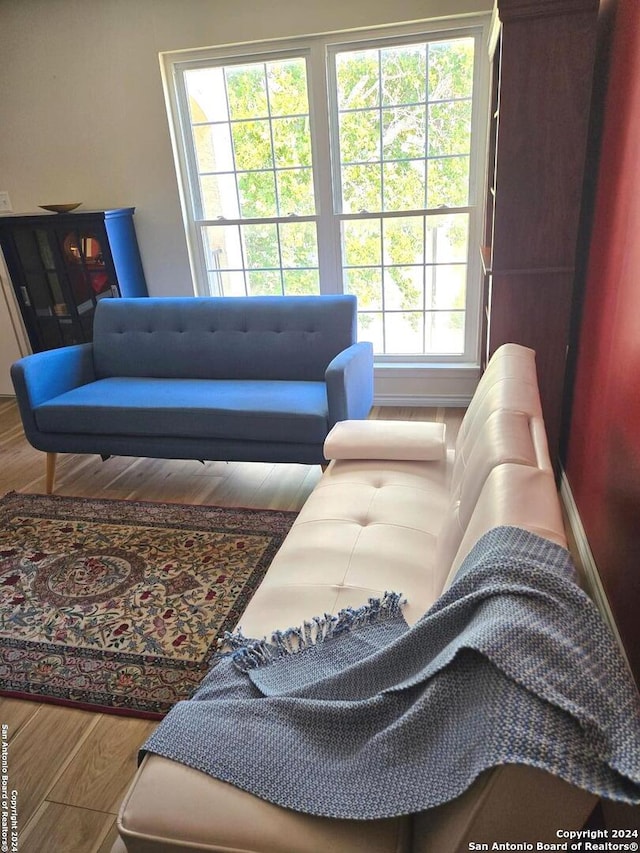 living room featuring wood-type flooring and a healthy amount of sunlight