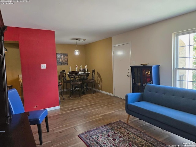 living room featuring hardwood / wood-style floors