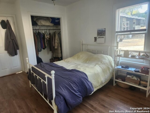 bedroom featuring a closet and dark hardwood / wood-style floors