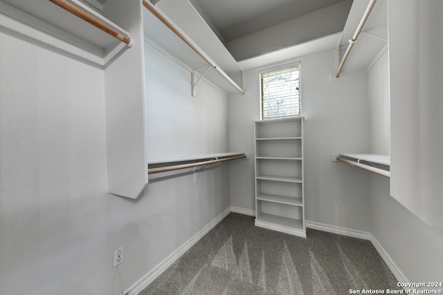 walk in closet featuring dark colored carpet