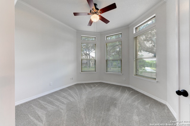 spare room featuring ceiling fan, crown molding, and a healthy amount of sunlight