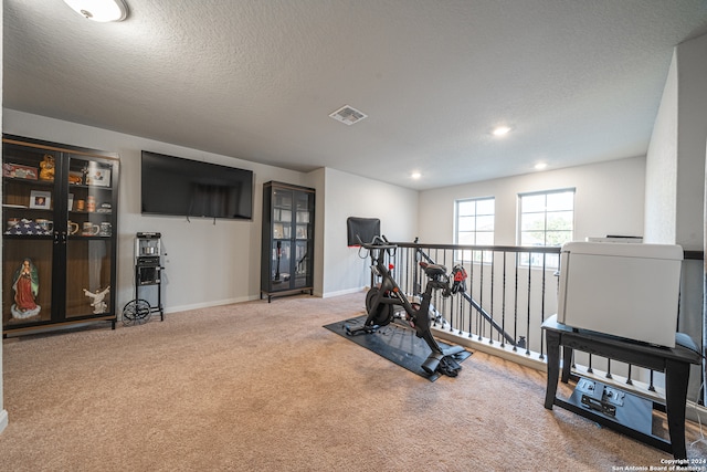 exercise area with a textured ceiling and carpet flooring