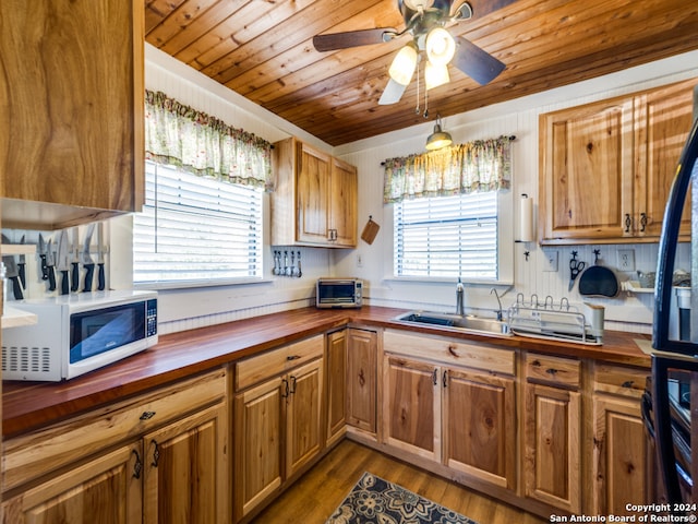 kitchen featuring a wealth of natural light, ceiling fan, butcher block countertops, and sink