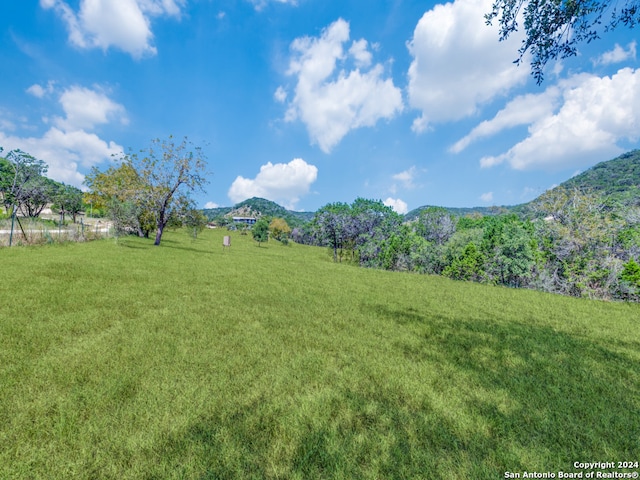 view of yard with a mountain view and a rural view