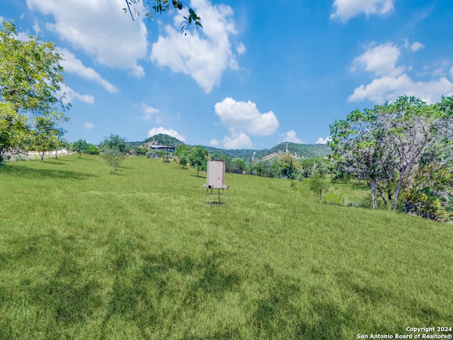 view of yard with a mountain view