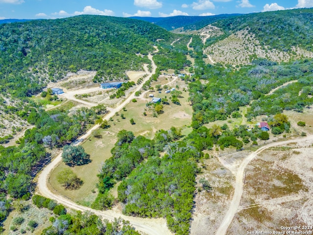 drone / aerial view featuring a mountain view