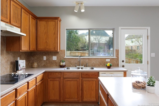 kitchen with backsplash, black electric cooktop, dishwasher, and sink