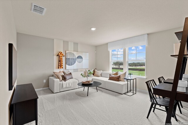 living room featuring light carpet and a textured ceiling