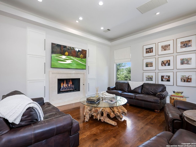 living room with a premium fireplace and dark hardwood / wood-style flooring