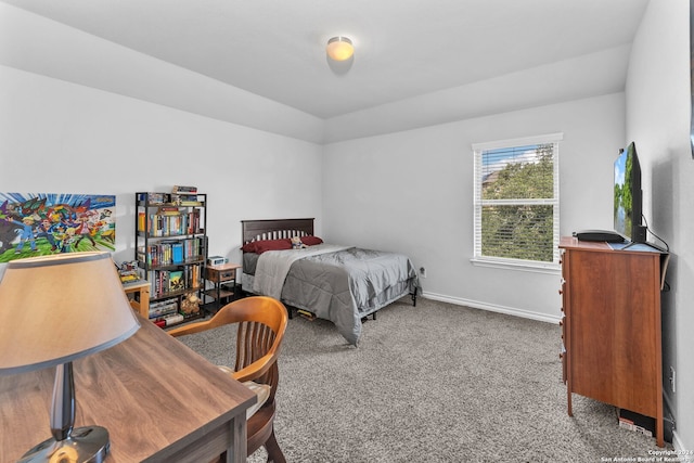 bedroom featuring carpet floors