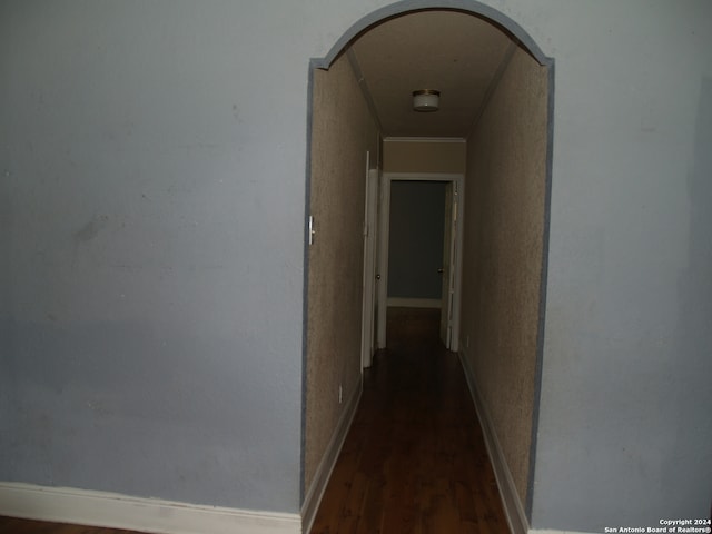 hall featuring dark wood-type flooring and crown molding