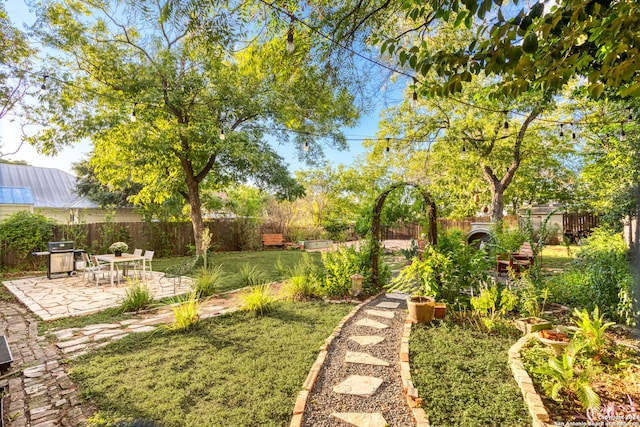 view of yard featuring a patio