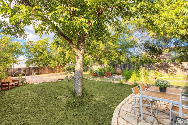 view of yard with a patio area