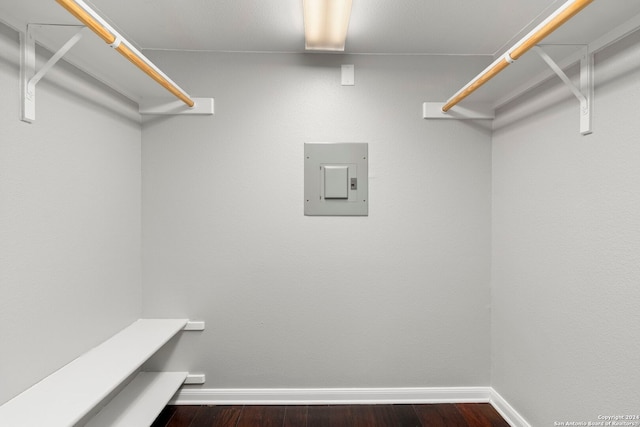 walk in closet featuring electric panel and dark hardwood / wood-style flooring