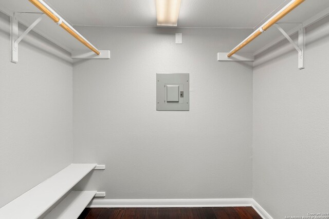 walk in closet with dark wood finished floors