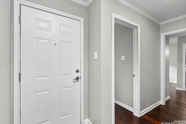 interior space with crown molding and dark wood-type flooring