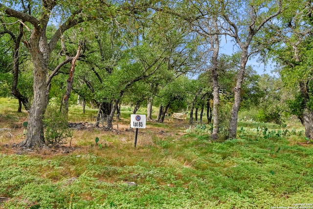 Listing photo 3 for 00 Axis Cir, Fredericksburg TX 78624