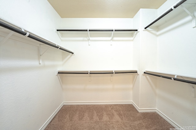 walk in closet featuring carpet flooring