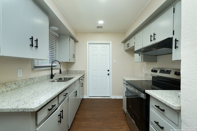 kitchen with light stone countertops, electric range, dark wood-type flooring, and sink