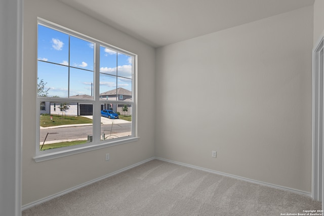 spare room with light carpet and a wealth of natural light