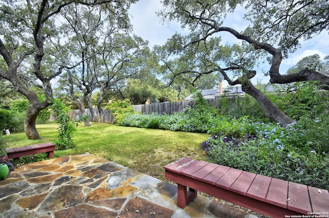 view of yard featuring a patio