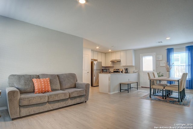 living room with light wood-type flooring