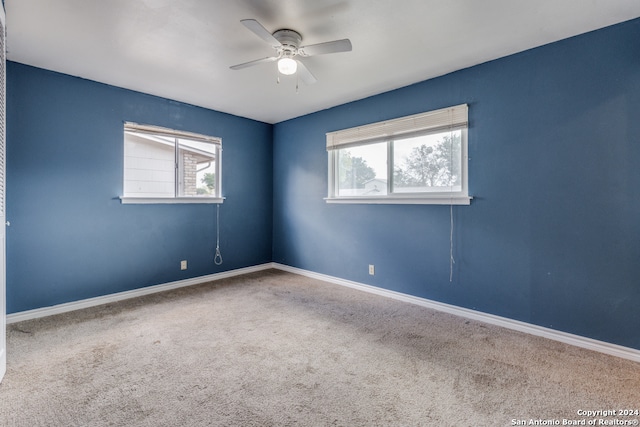 spare room with carpet flooring and a wealth of natural light