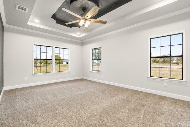 empty room with carpet floors, a tray ceiling, and ceiling fan